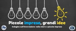 piccole imprese grandi idee indagine